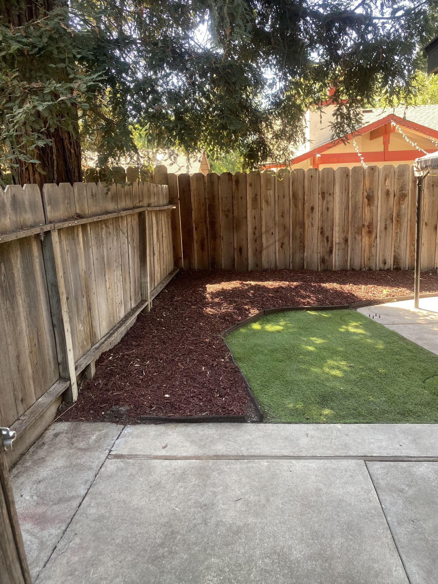 IMG 3160